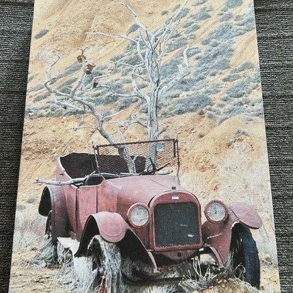 5 for $20! 12x9in canvas print - Picture 2 of 2